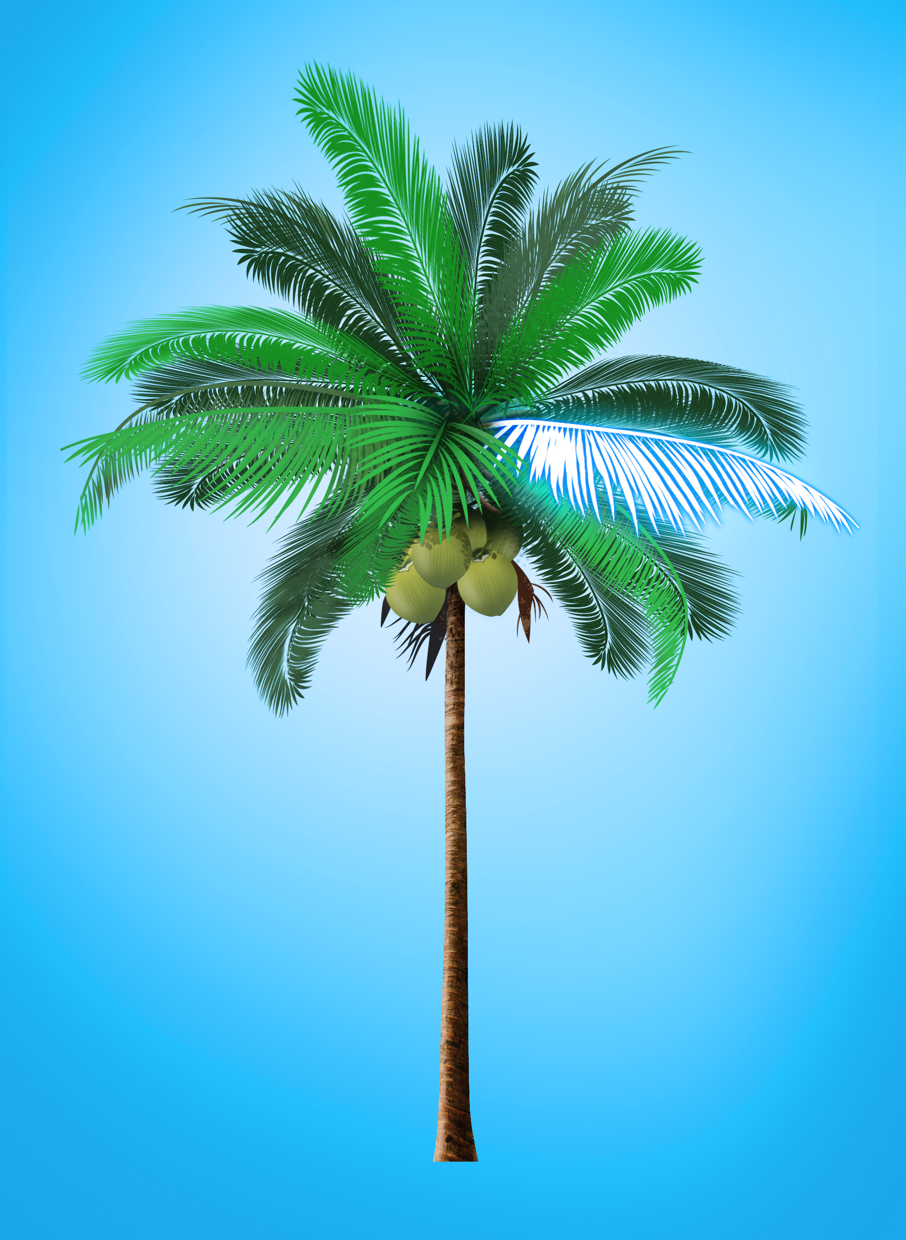 Sassy Sword palm NFT