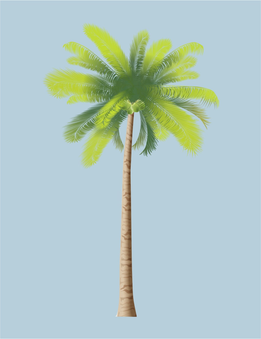 Candid Coconut palm NFT